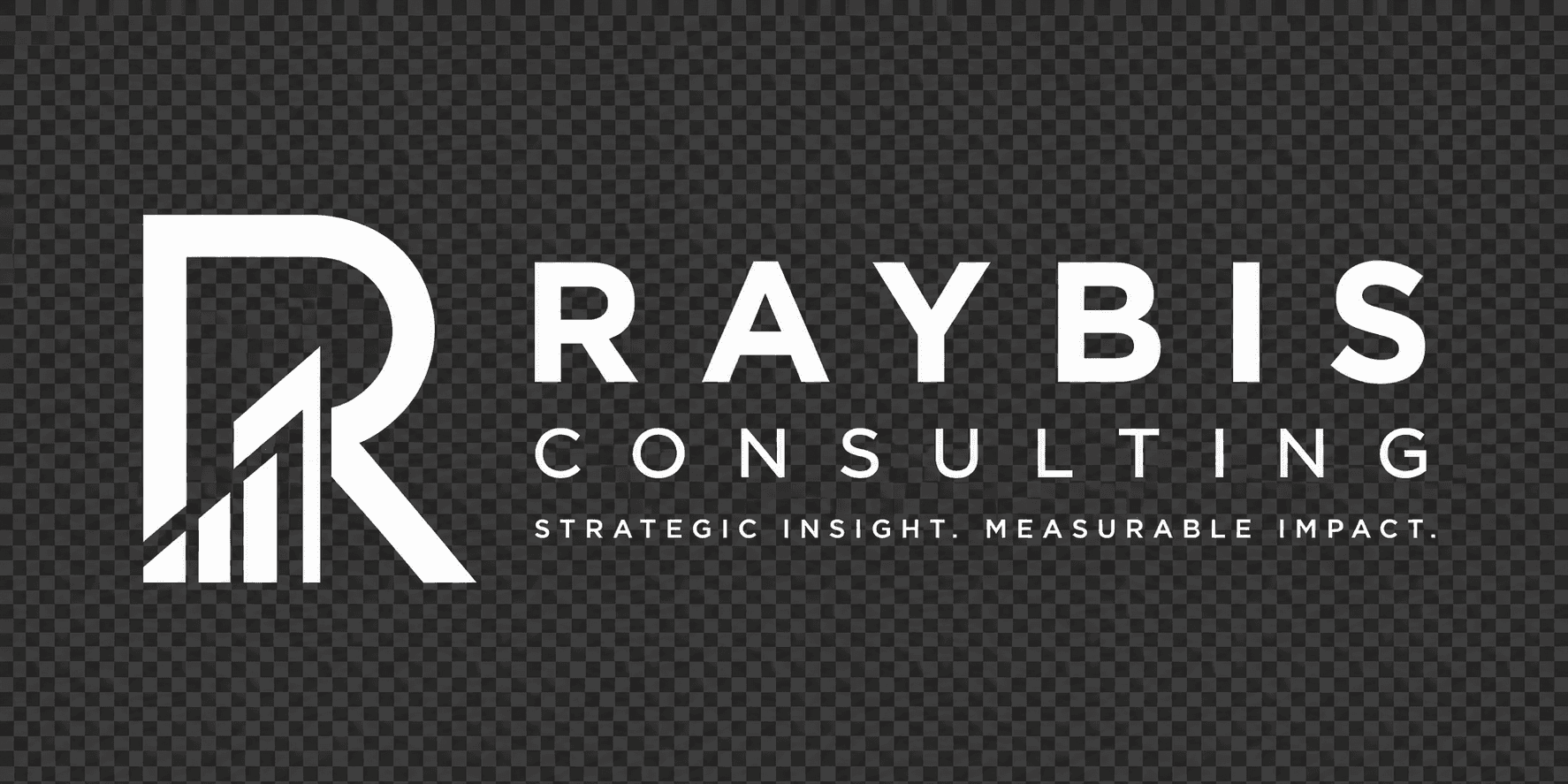 Raybis Consulting